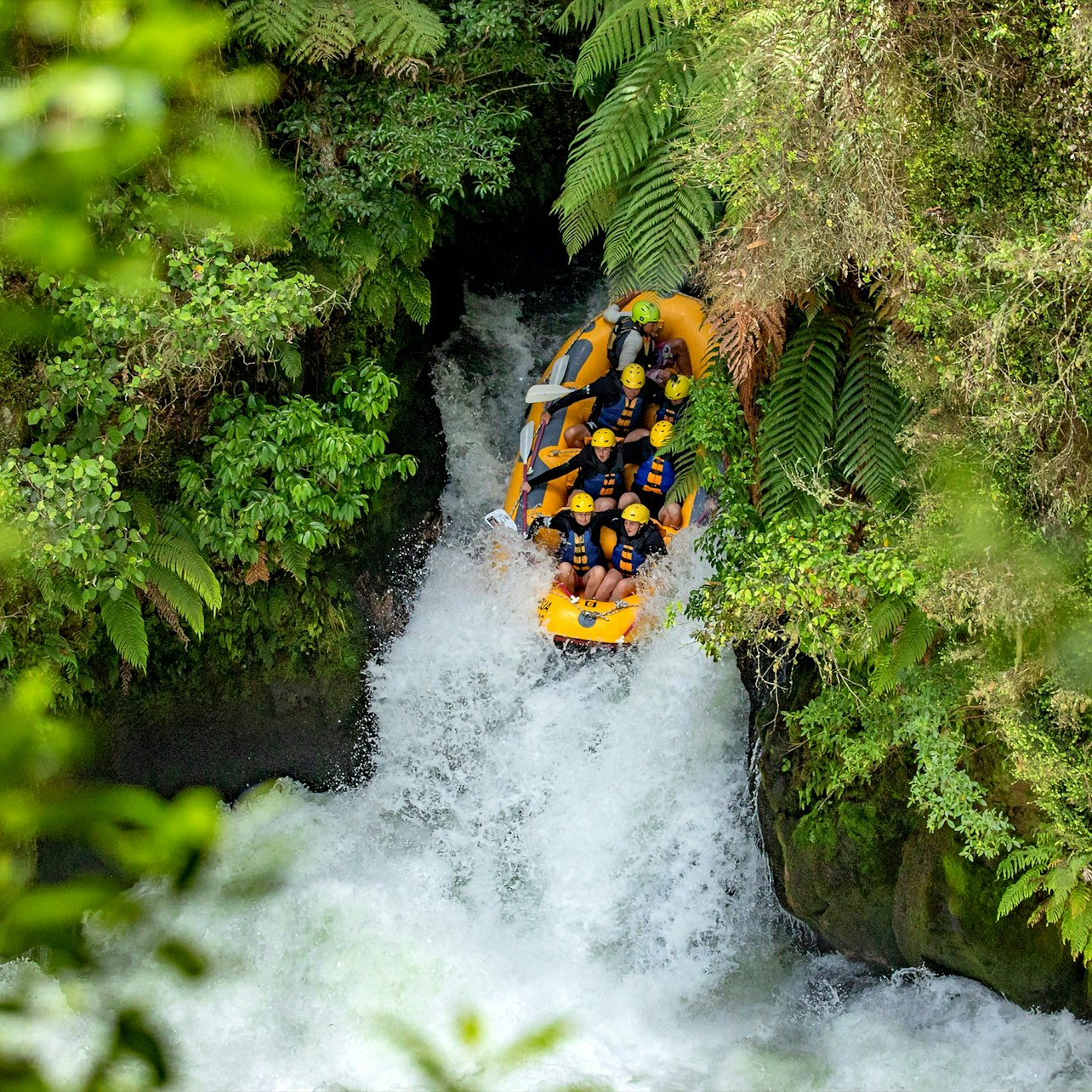 Experience the rush of navigating the Kaituna River’s lush canyon tackling exhilarating rapids and conquering Tutea Falls all while surrounded by stunning native foliage.